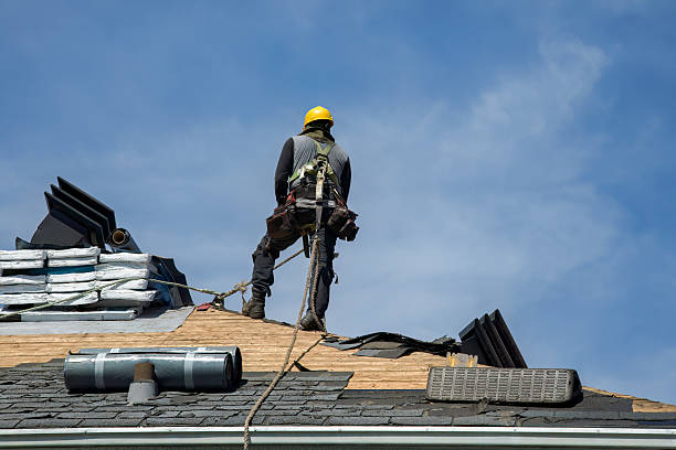 Professional Gutter Installation technician working in River Grove, IL